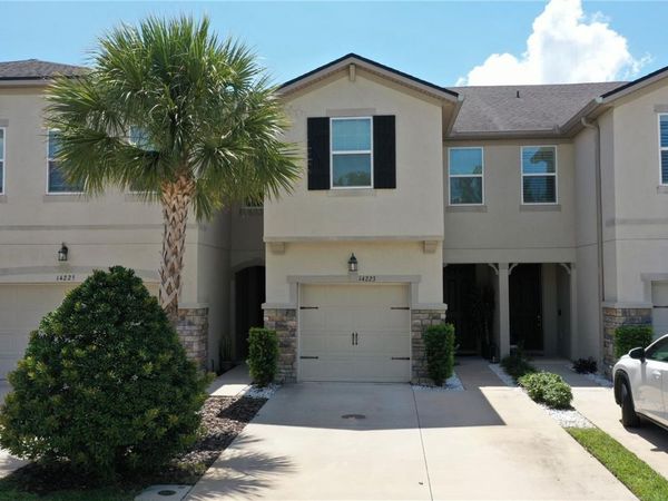 14223 PONDHAWK LANE , TAMPA, FL 33625