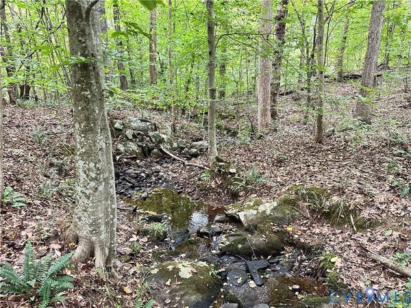 TBD Tomlinson Road, Victoria, VA 23974