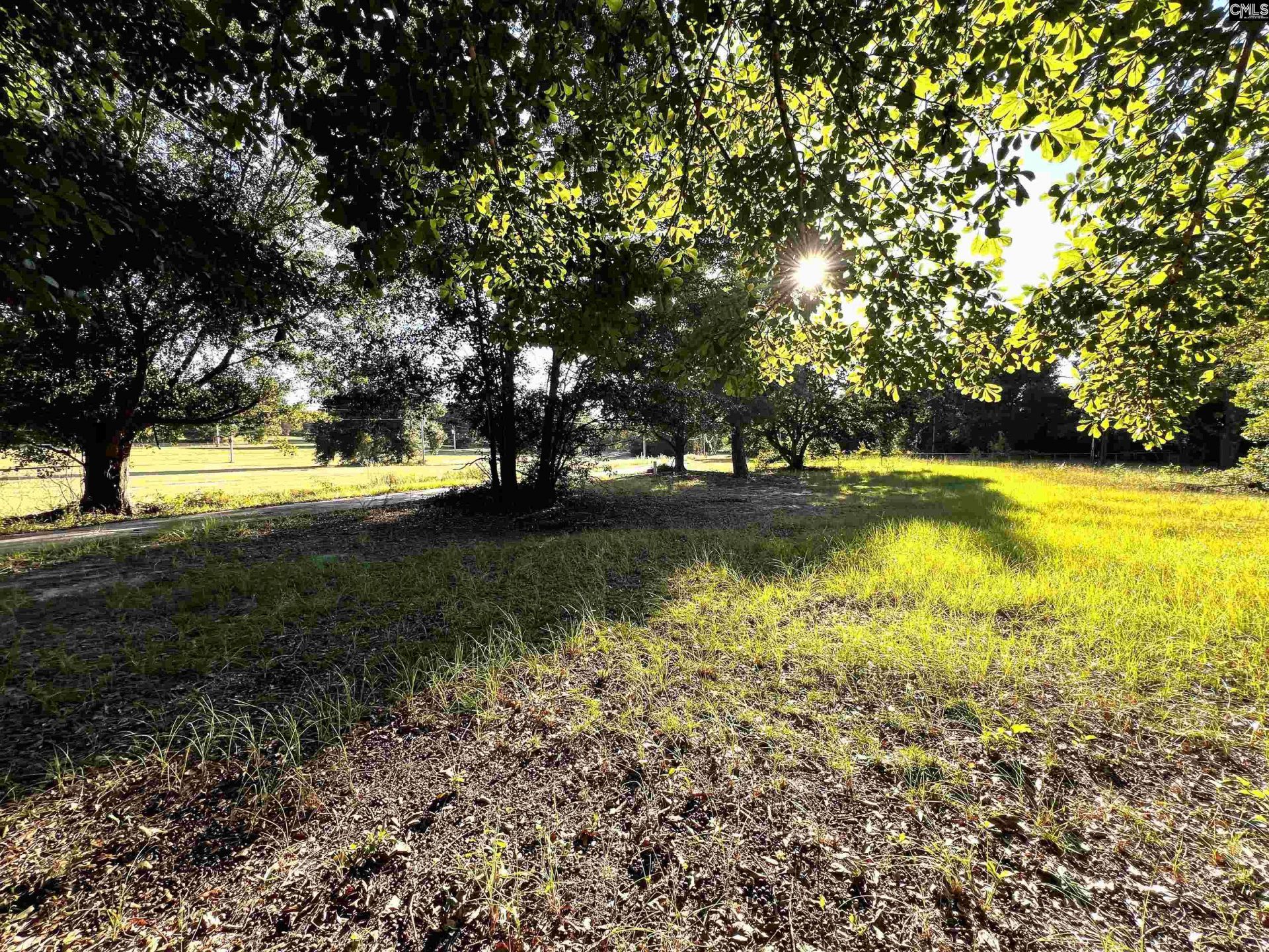 301 Blue Sky Drive  Photo 4
