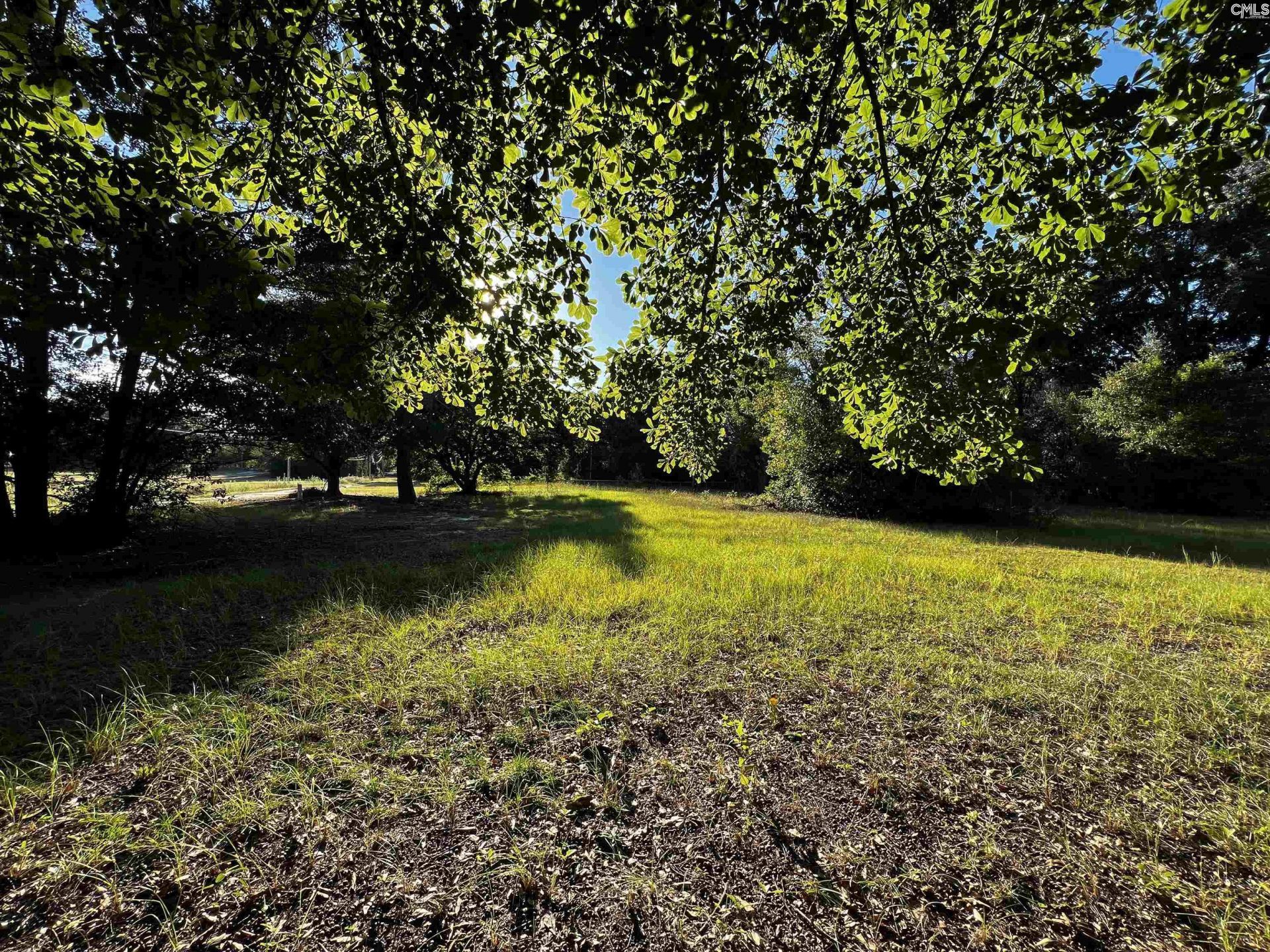 301 Blue Sky Drive  Photo 5