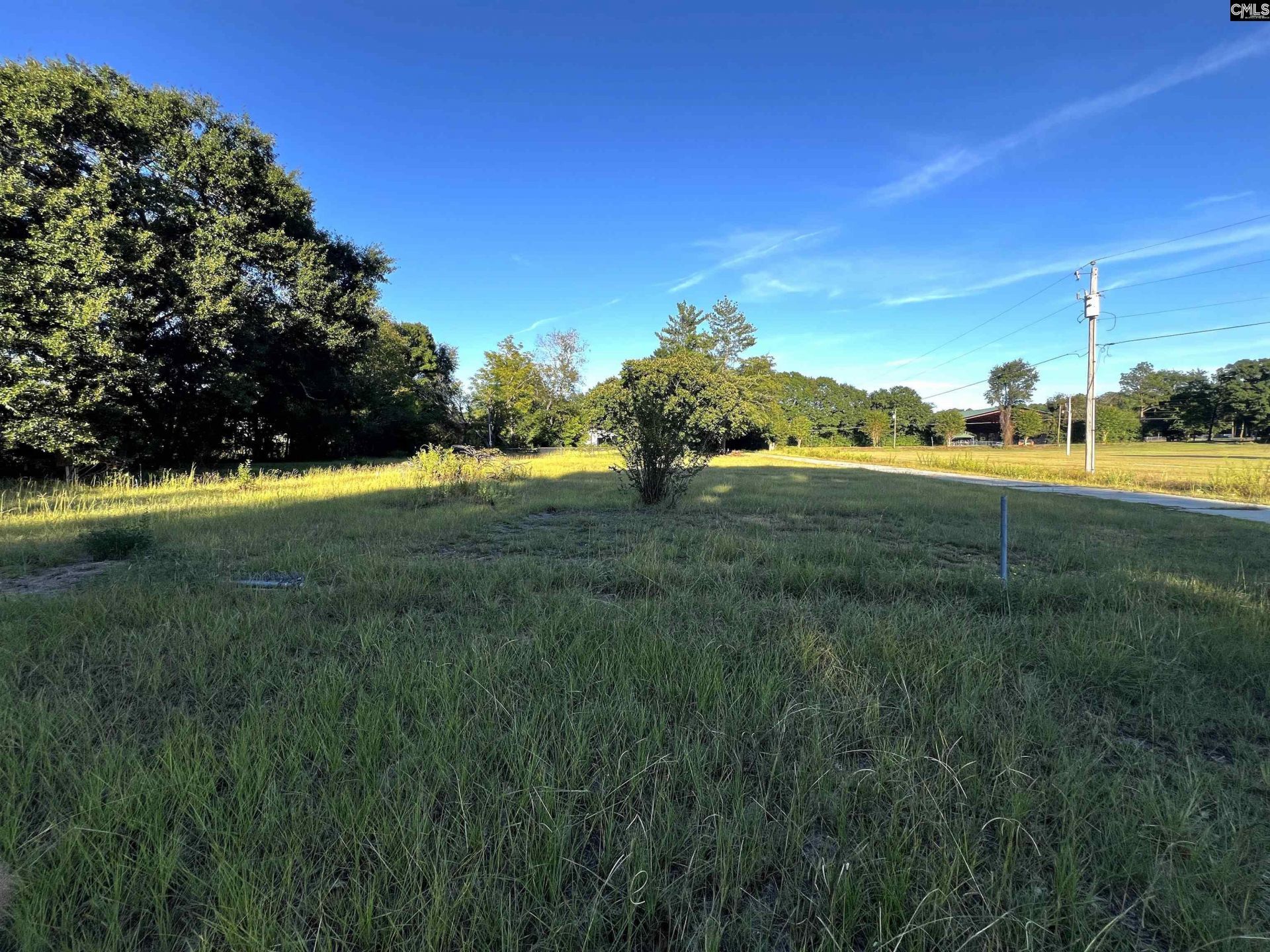 301 Blue Sky Drive  Photo 6
