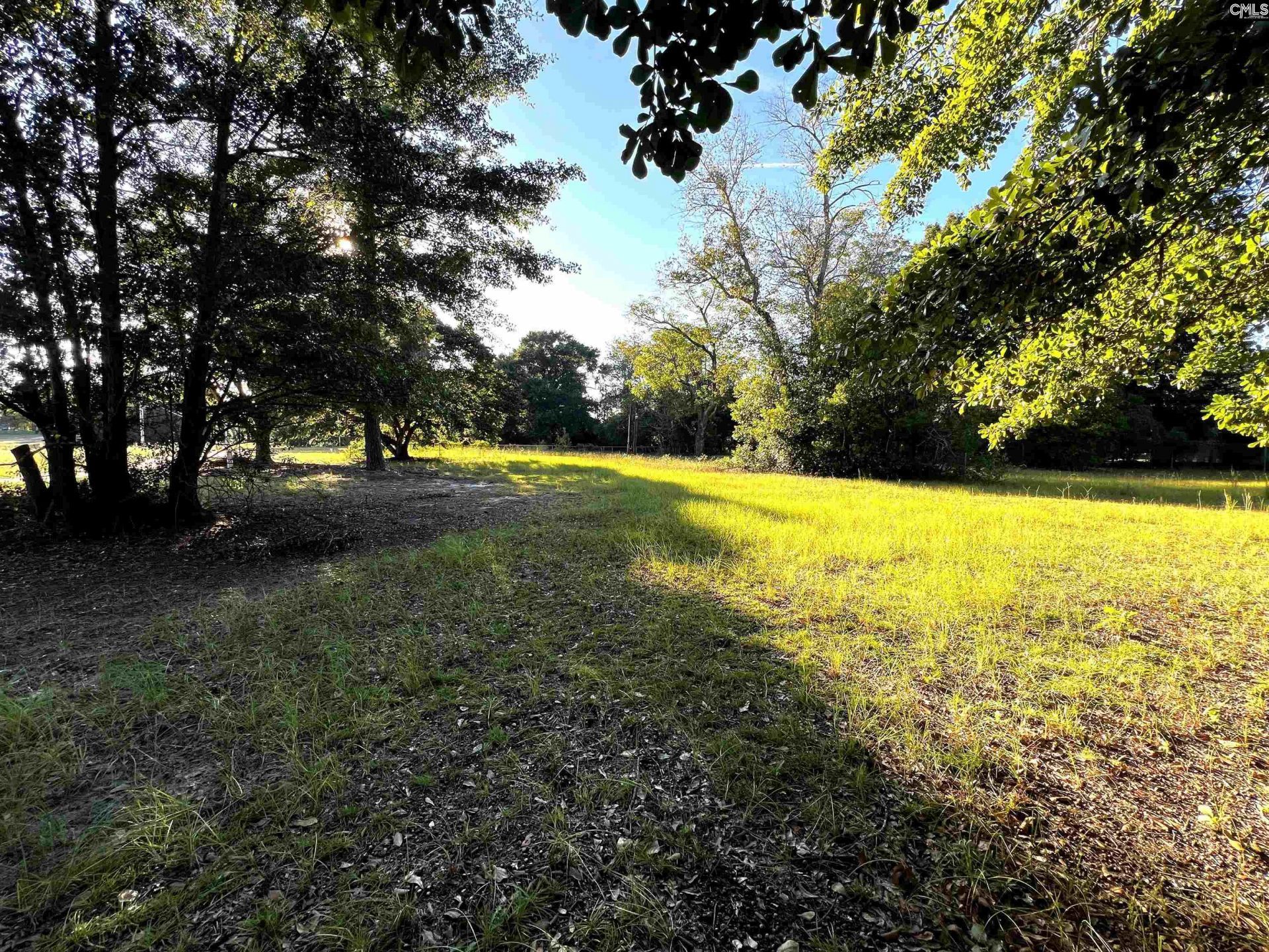 301 Blue Sky Drive  Photo 7