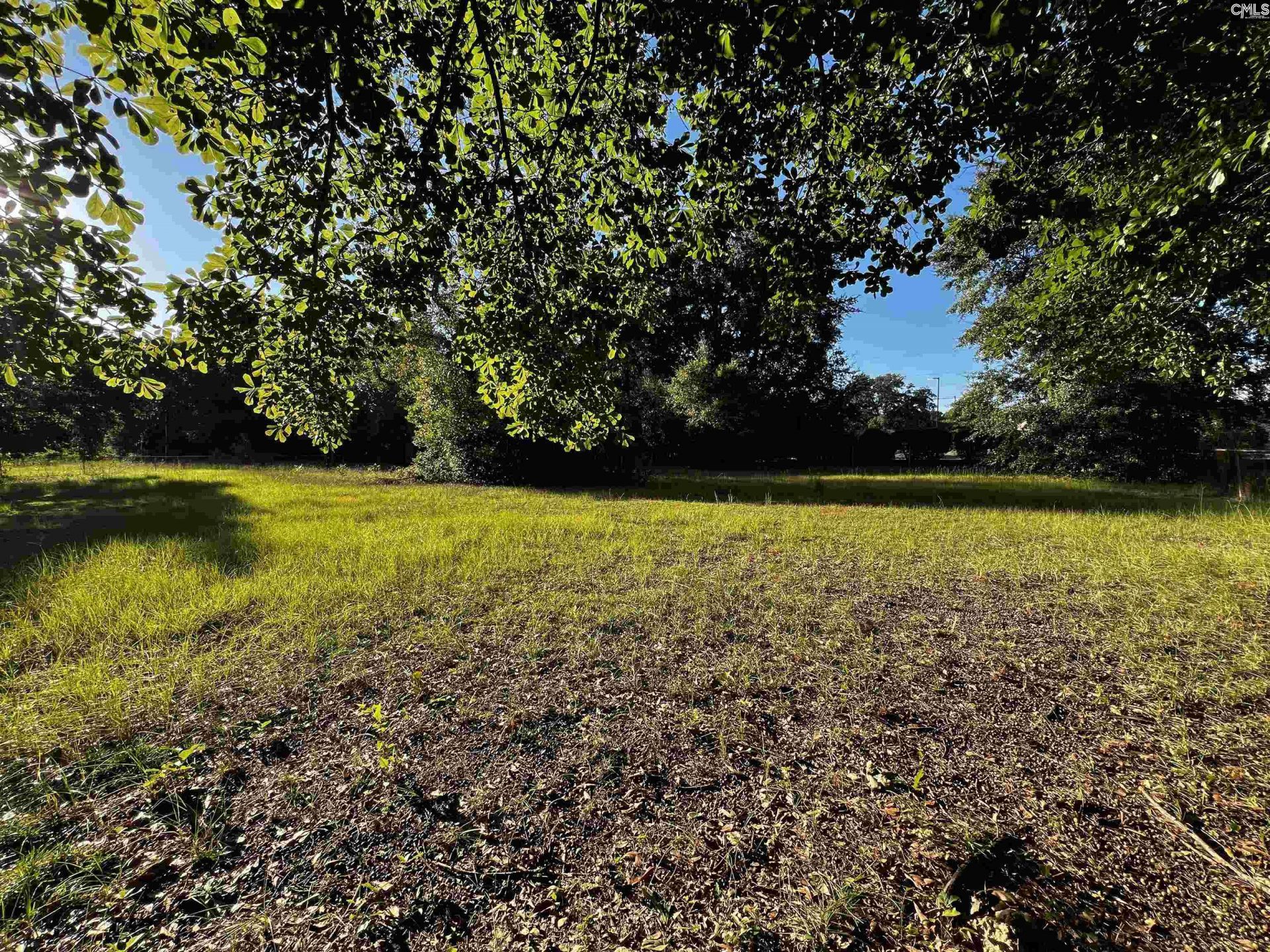 301 Blue Sky Drive  Photo 8
