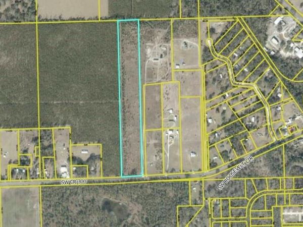 TBD SW CR 300 , MAYO, FL 32066