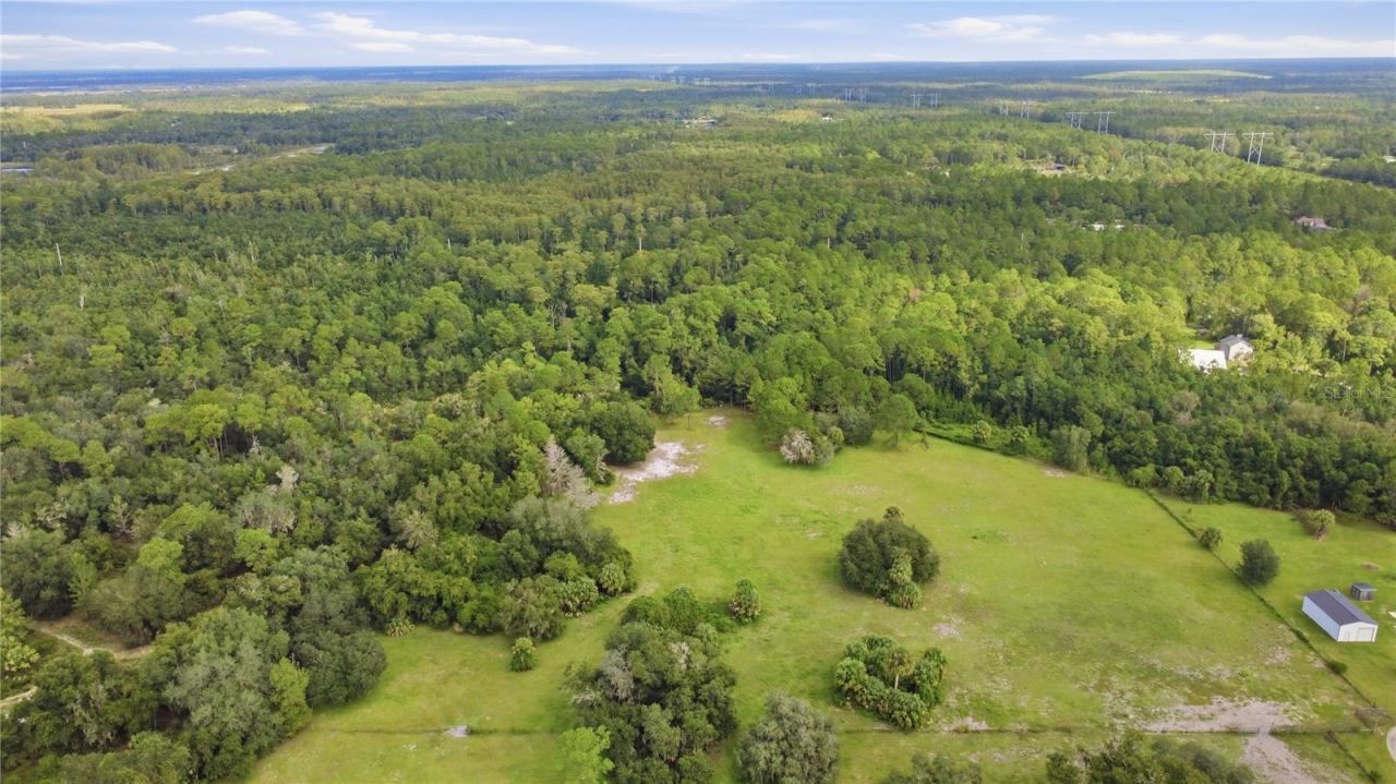 Seneca Oaks Trail, Geneva, FL 32732 Photo