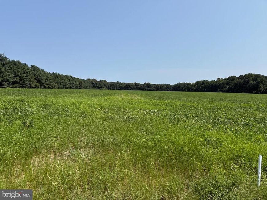 0000 Harmony Rd. , Preston, MD 21655 Main Photo