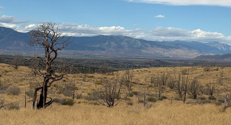 Tbd Pine Nut #2, Gardnerville, NV 89410 Photo