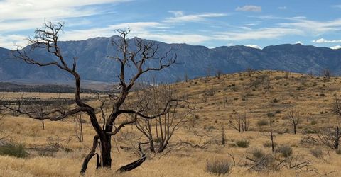 Tbd Pine Nut #2, Gardnerville, NV 89410 Photo