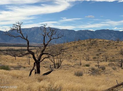 Tbd Pine Nut #2, Gardnerville, NV 89410 Photo