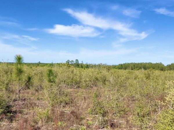 Lot 55 South Timber Ln, Jay, FL 32565