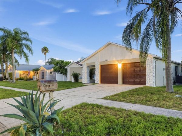 2831 BLOSSOM LAKE , HOLIDAY, FL 34691