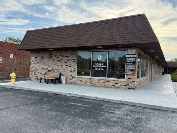 17732 Oak Park Avenue , Unit AB, Tinley Park, IL 60477
