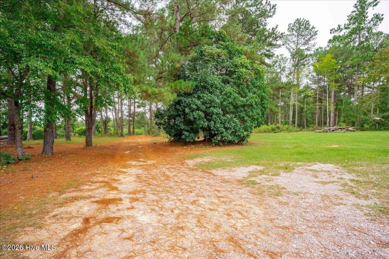 2657 Pine Log Road  Photo 44