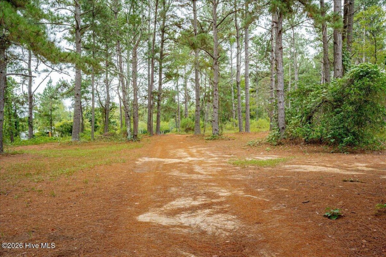 2657 Pine Log Road  Photo 45