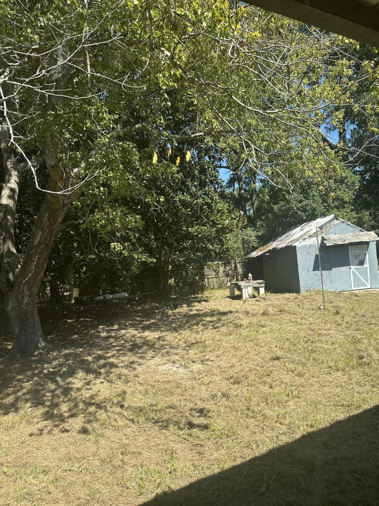 105 Wren Court Photo 11