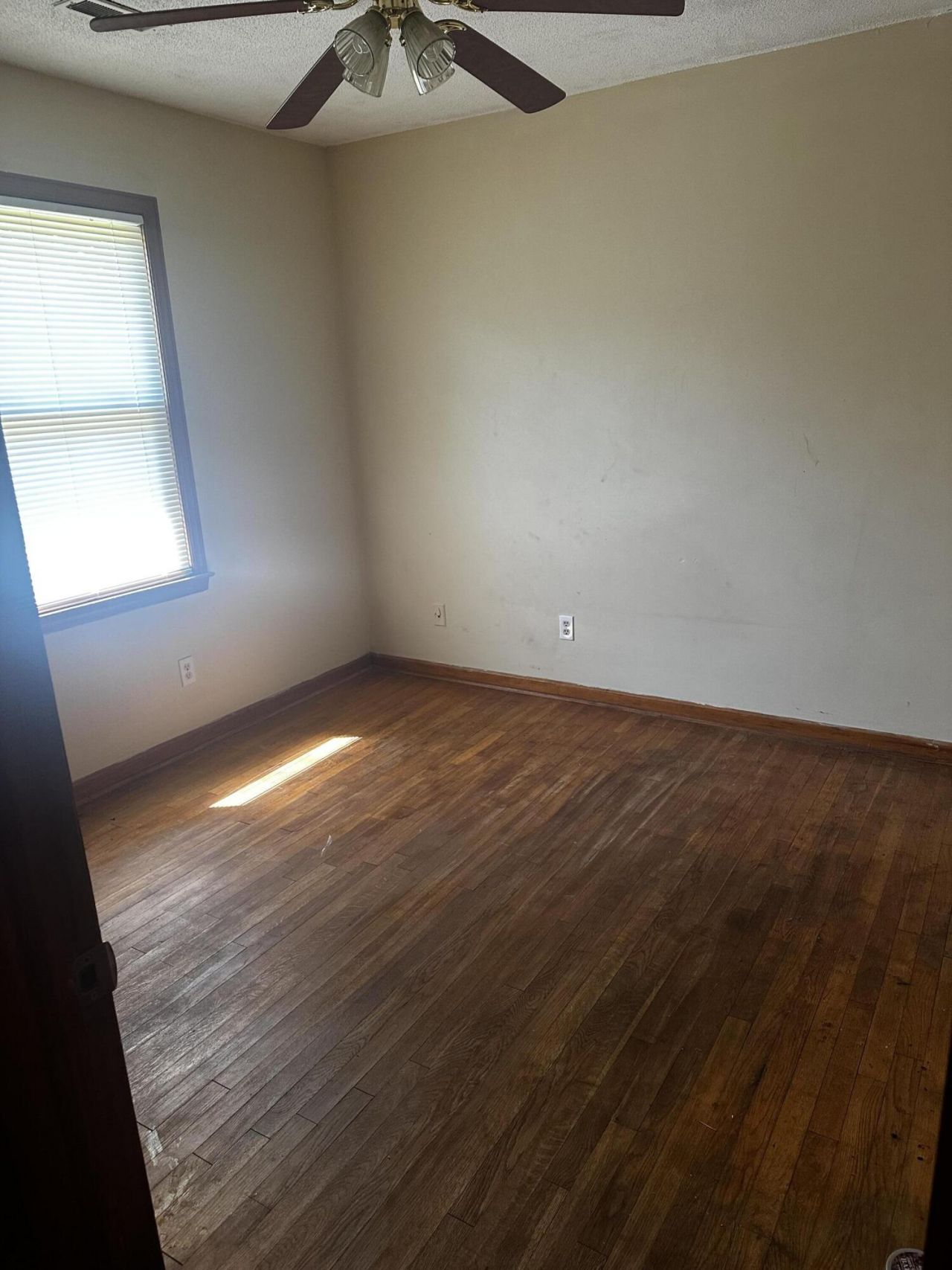 105 Wren Court Photo 16