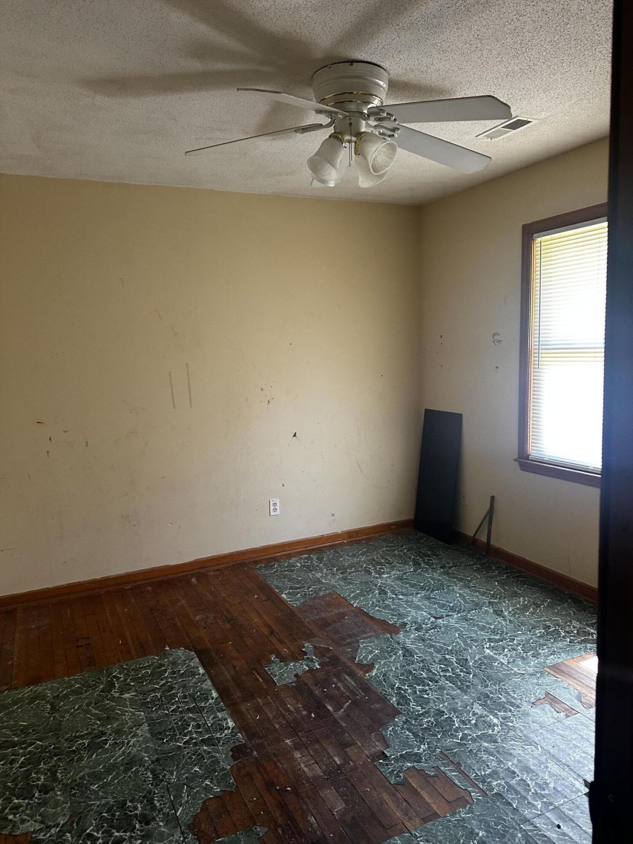 105 Wren Court Photo 17