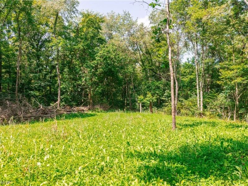 Richards Rd. Road, Cambridge, OH 43725 Photo 11