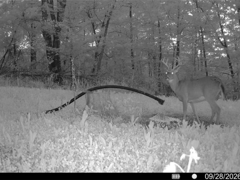 Richards Rd. Road, Cambridge, OH 43725 Photo 13