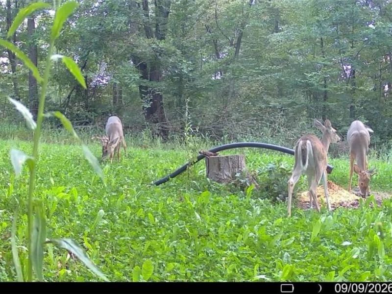Richards Rd. Road, Cambridge, OH 43725 Photo 14