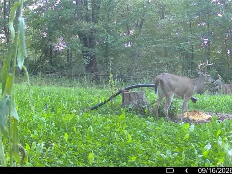Richards Rd. Road, Cambridge, OH 43725 Photo 15