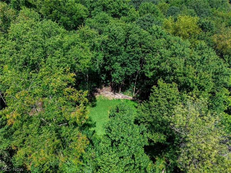 Richards Rd. Road, Cambridge, OH 43725 Photo 27