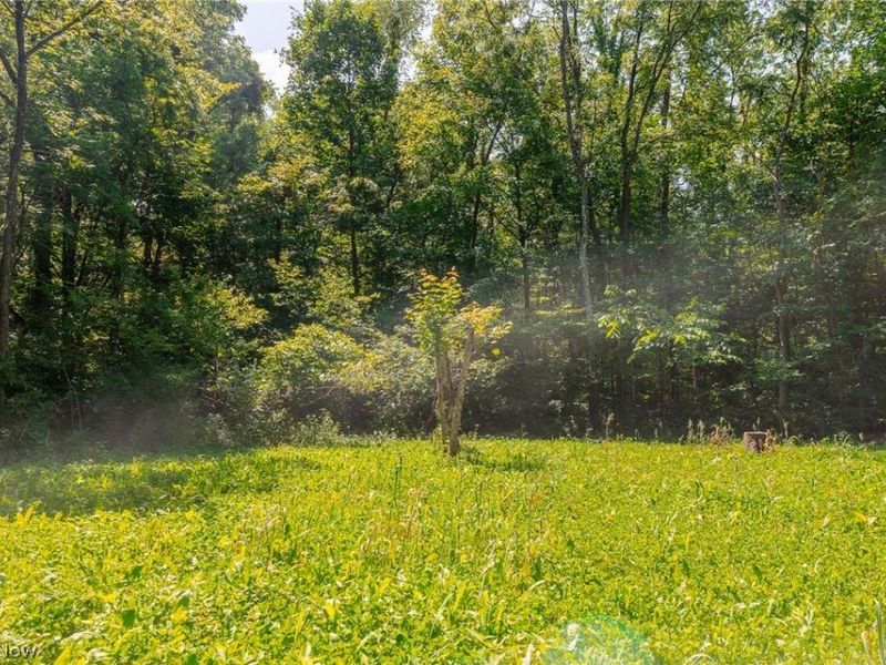 Richards Rd. Road, Cambridge, OH 43725 Photo 29