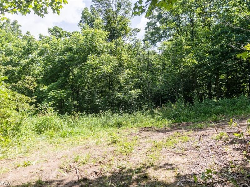 Richards Rd. Road, Cambridge, OH 43725 Photo 31