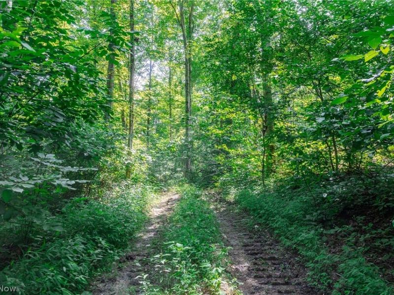 Richards Rd. Road, Cambridge, OH 43725 Photo 36