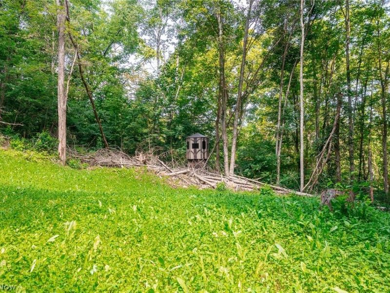 Richards Rd. Road, Cambridge, OH 43725 Photo 7