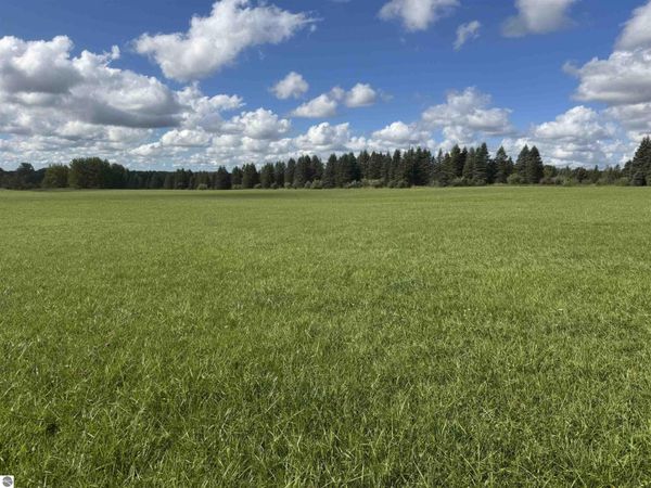 Ora Lake Road, Hale, MI 48739