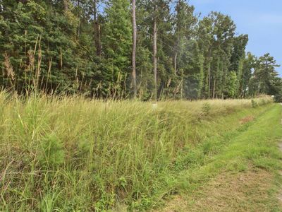 Tract A 215 Road , Jenkinsville, SC 29065