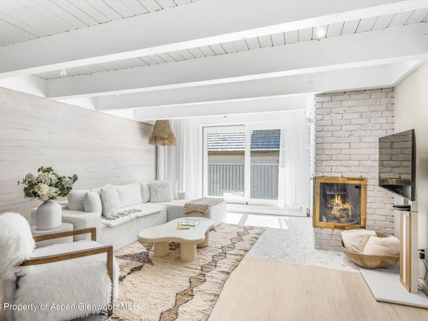 901 E Hyman Avenue, Unit 14, Aspen, CO 81611