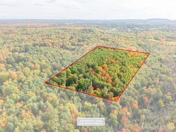 TBD Co Rd CN Road, Ely Twp, MI 49849