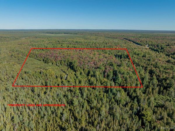 9553 N M94 Highway, Hiawatha Twp, MI 49854