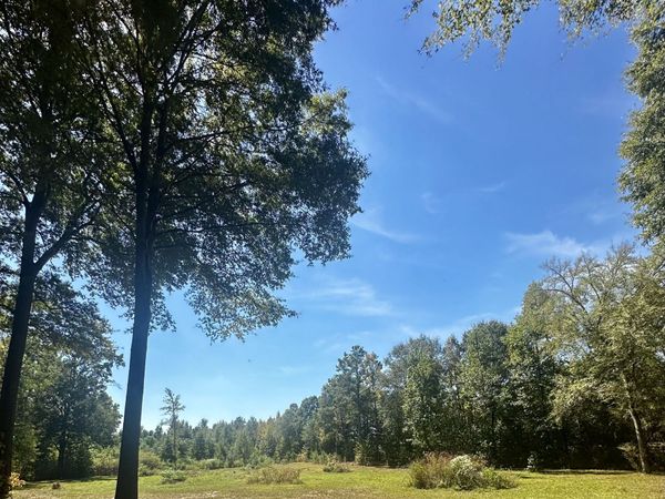0 Newnan Road, Brooks, GA 30205
