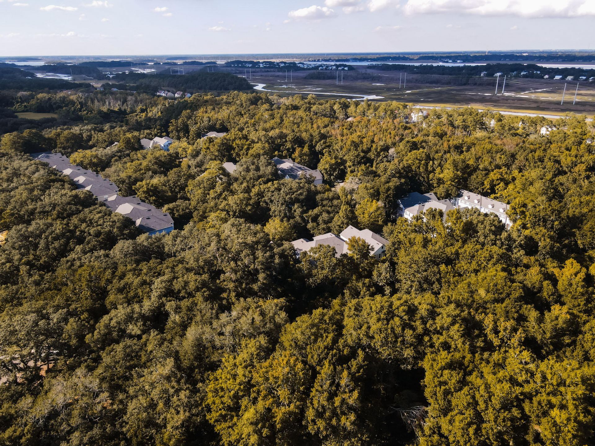 60 Fenwick Hall Allee Photo 30
