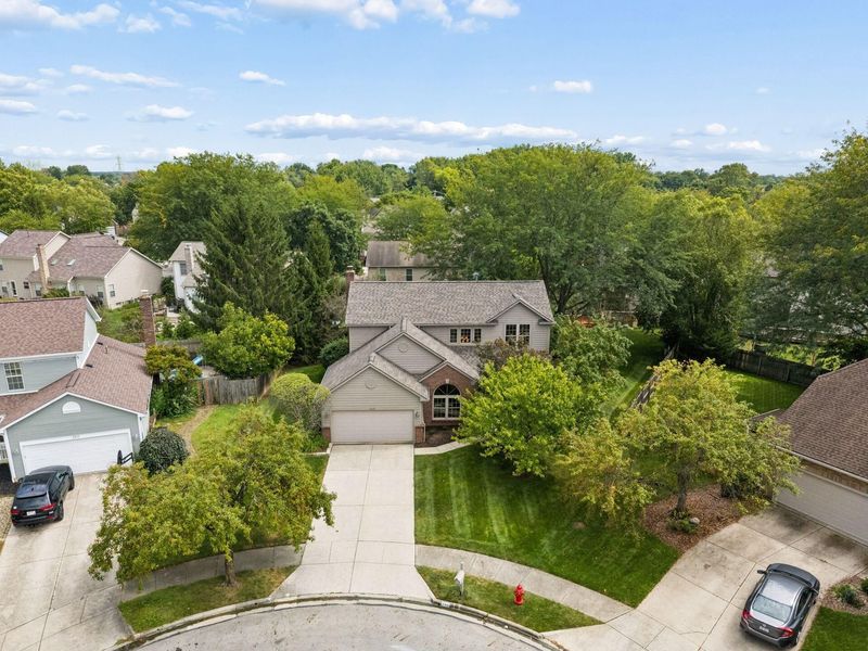 346 Harrogate Court, Westerville, OH 43082 Photo 52