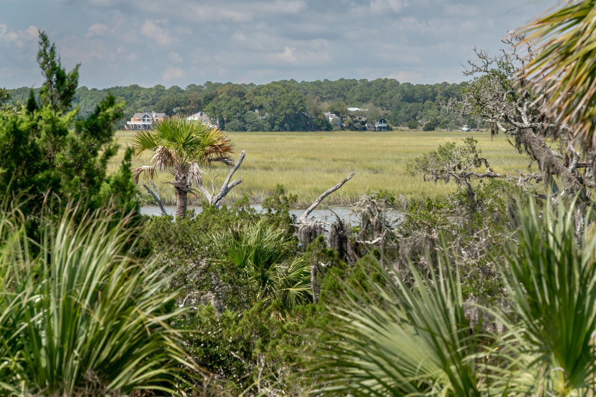 211 Jungle Road Photo 40