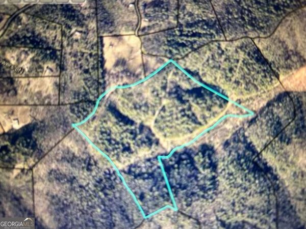 40 ACRE Valley Lake Road, Mineral Bluff, GA 30559
