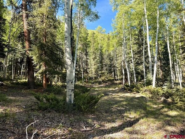 20 Alpine Vista Way, Lake City, CO 81235