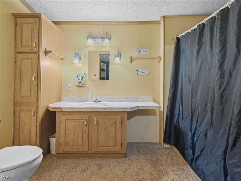3839 E Sterling Road, Creston, OH 44217 Photo 19