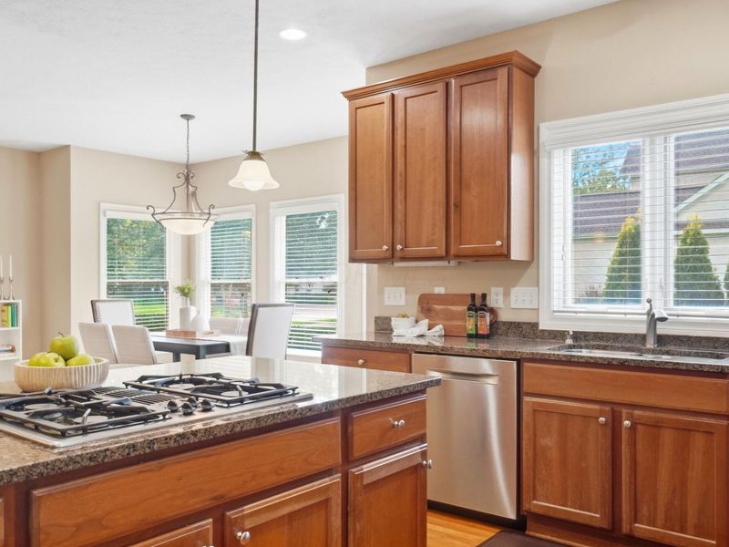 6725 Trafalgar Loop , Dublin, OH 43016 Photo 20