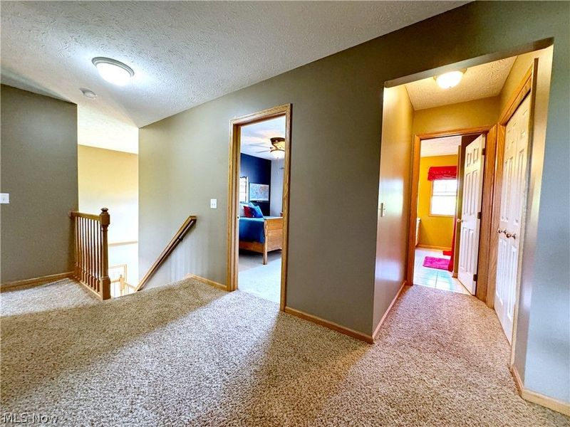 25137 Crosstie Trail, Columbia Station, OH 44028 Photo 25