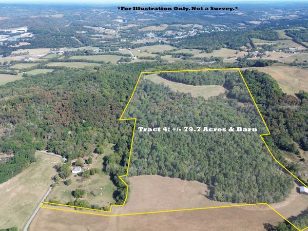 0 Goose Branch Rd , Lynchburg, TN 37352