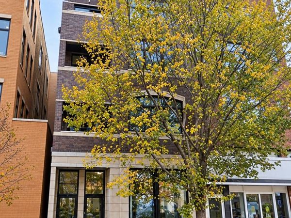 1109 W Belmont Avenue , Unit 4, Chicago, IL 60657