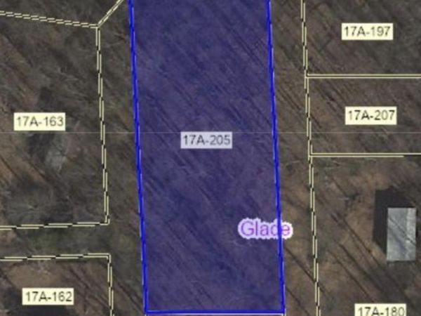 TBD Beech Street, Belington, WV 26283