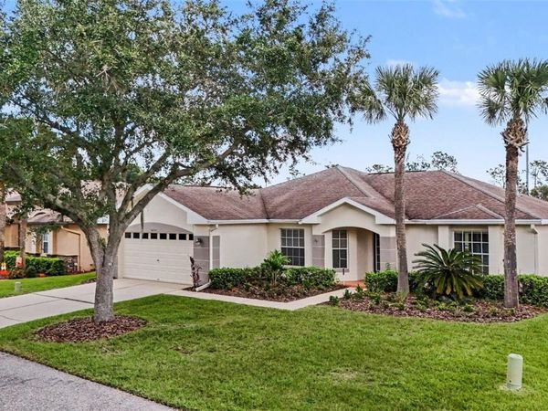 10223 COLLAR DRIVE , SAN ANTONIO, FL 33576