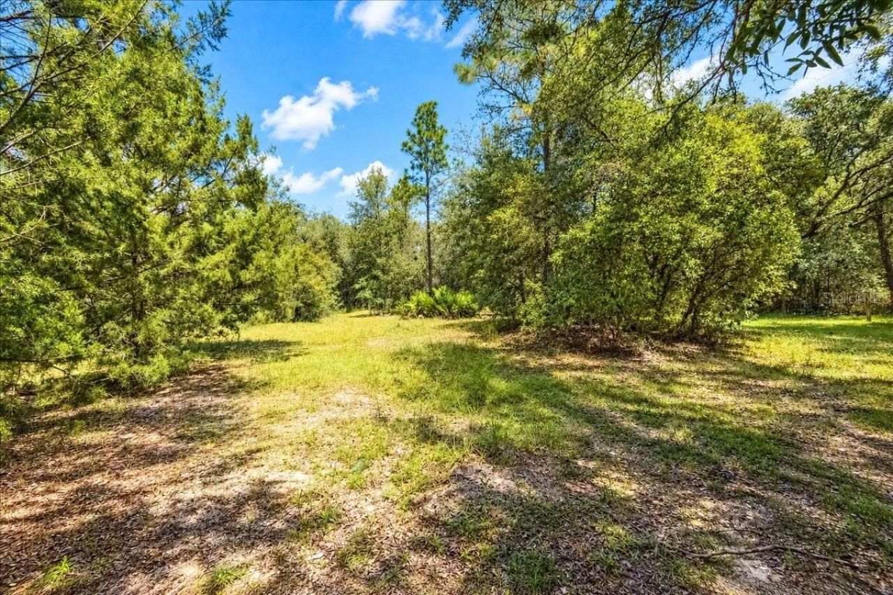 12150 NE 75th Street, Bronson, FL 32621 Photo