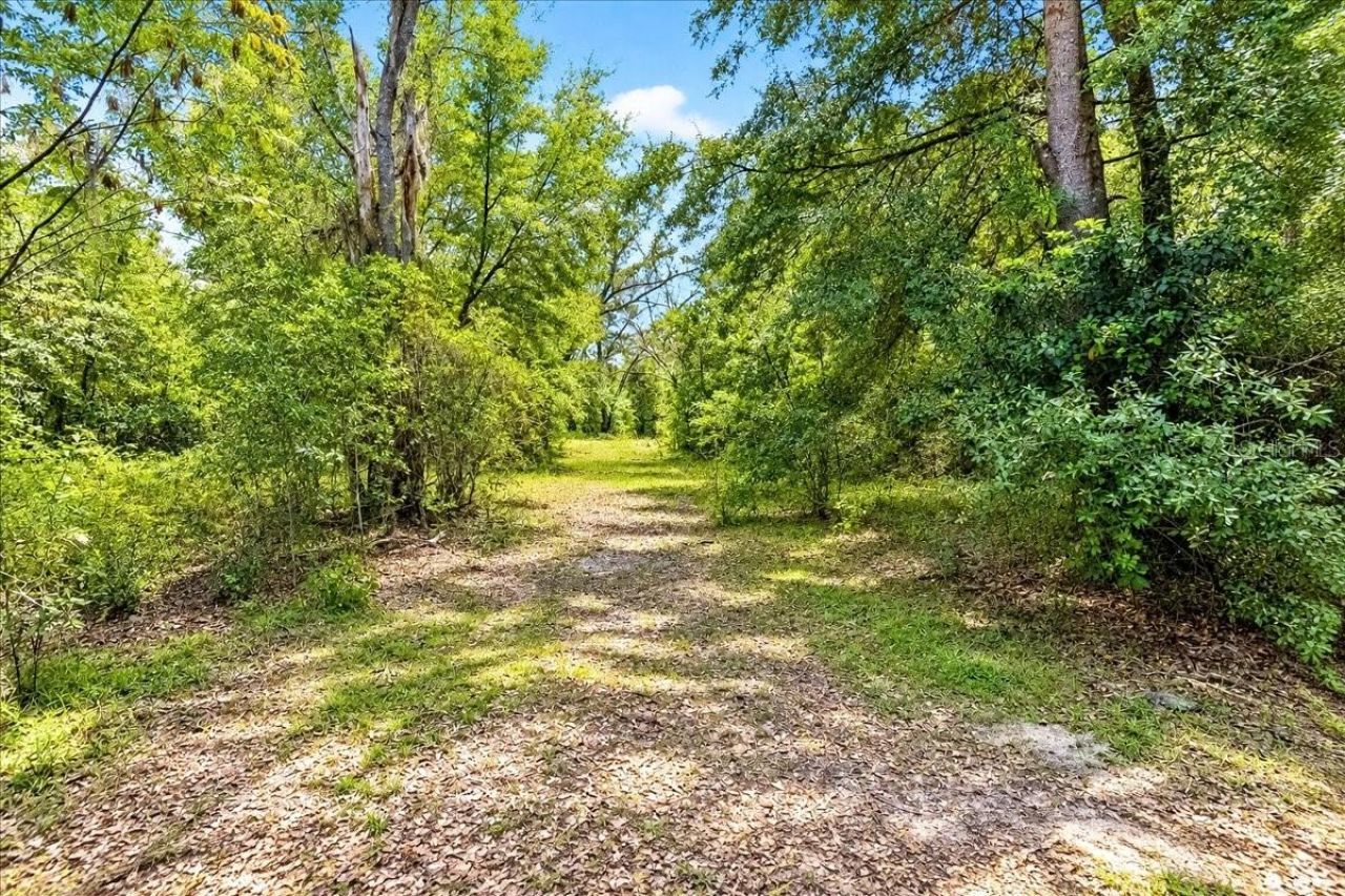 12150 NE 75th Street, Bronson, FL 32621 Photo